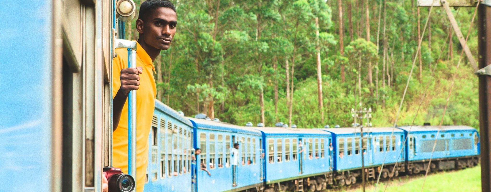 Le train au coeur des plantations de thé