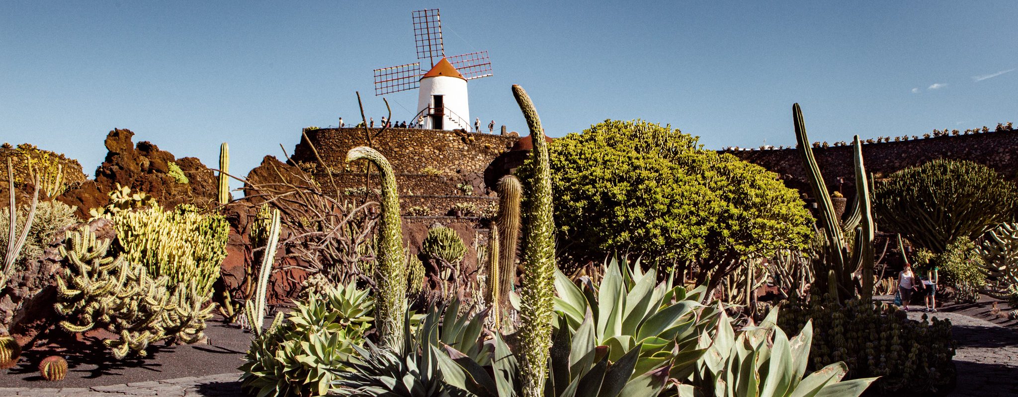 sabinekley-voyage-espagne-canaries-lanzarote-jardin-cactus-visiter