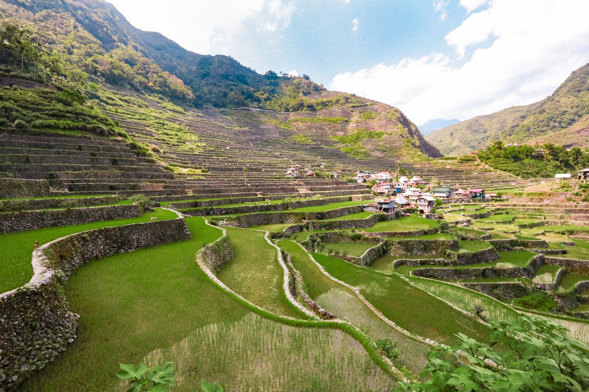 Le village de Batad au milieu des rizières